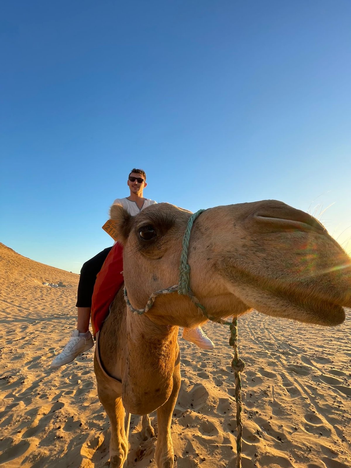 Camel ride in Tangier